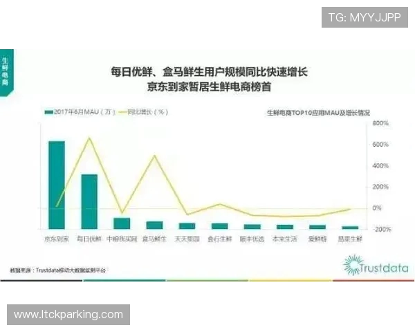 广州极限运动队战术创新与转型分析探讨