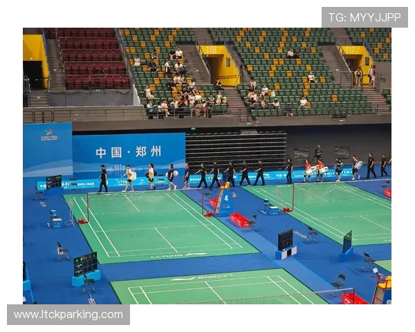 重庆羽毛球队的蜕变与崛起：冠军赛背后的奋斗与坚持